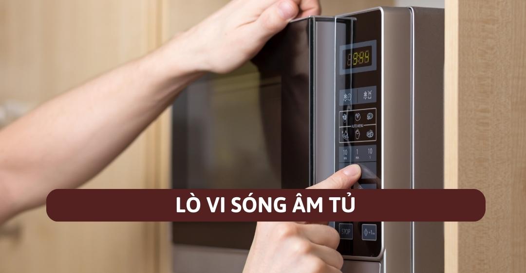 Lò vi sóng âm tủ