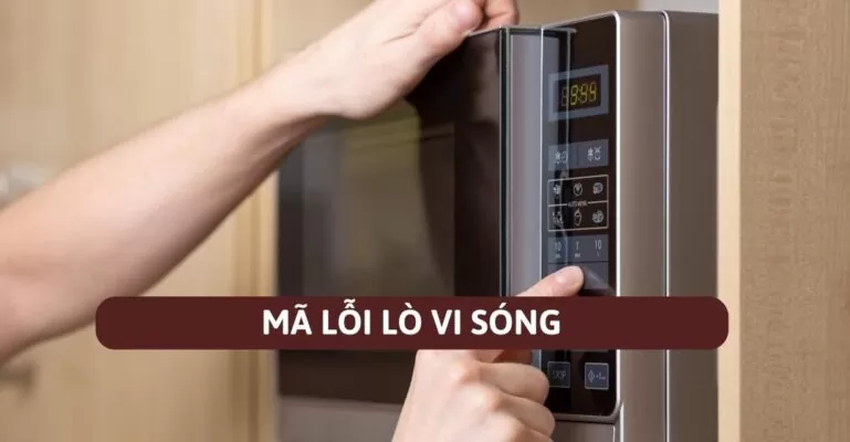 Mã lỗi lò vi sóng