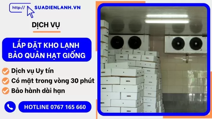 lắp đặt kho lạnh bảo quản hạt giống
