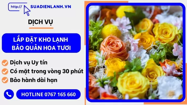 lắp đặt kho lạnh bảo quản hoa tươi