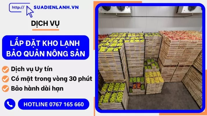 lắp đặt kho lạnh bảo quản nông sản