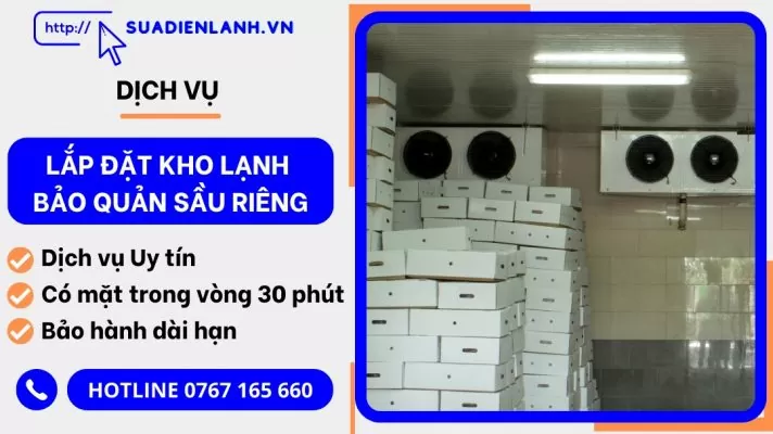 lắp đặt kho lạnh bảo quản sầu riêng