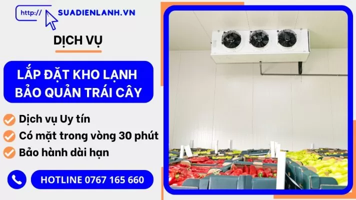 lắp đặt kho lạnh bảo quản trái cây