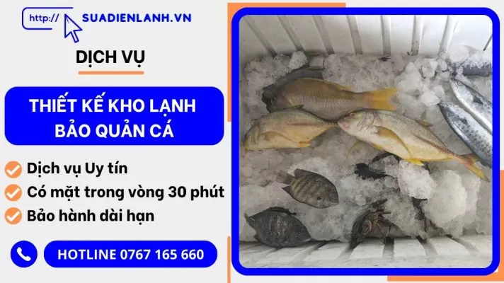 thiết kế kho lạnh bảo quản cá