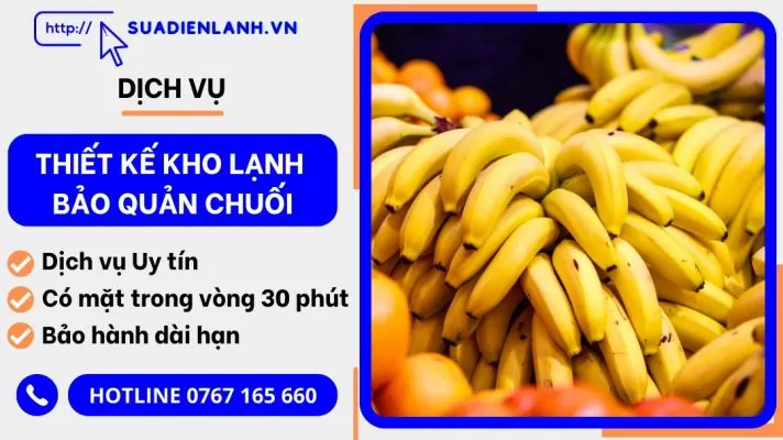 thiết kế kho lạnh bảo quản chuối