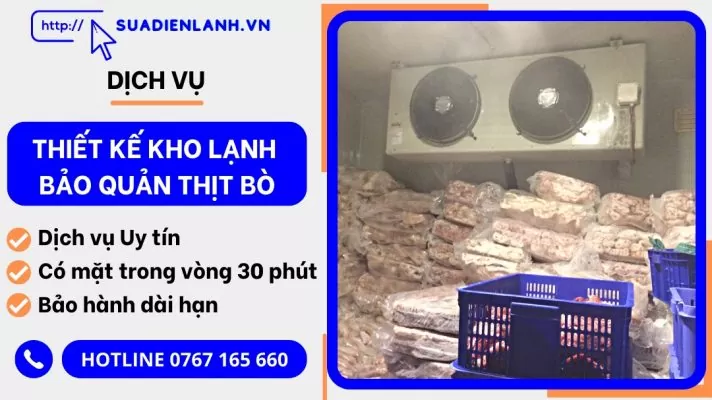 thiết kế kho lạnh bảo quản thịt bò