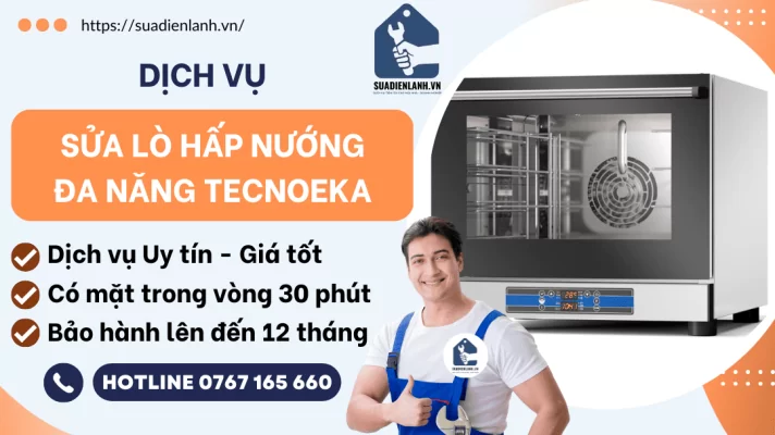 sửa lò hấp nướng đa năng Tecnoeka