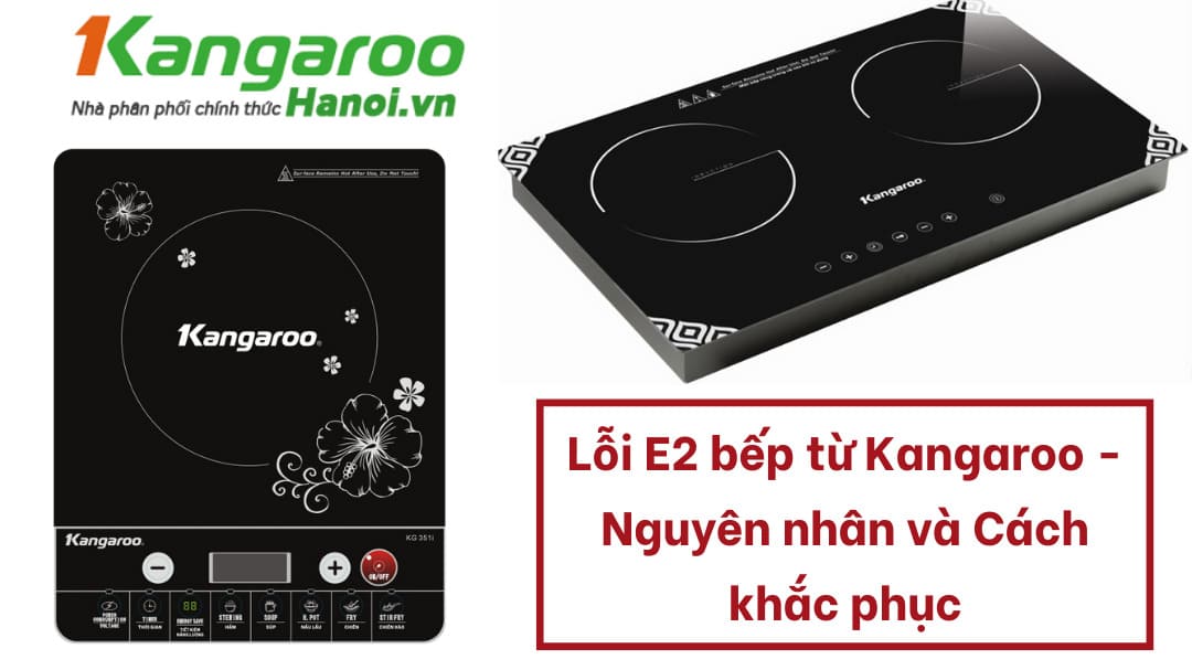 Nguyên nhân bếp từ Kangaroo báo lỗi E2