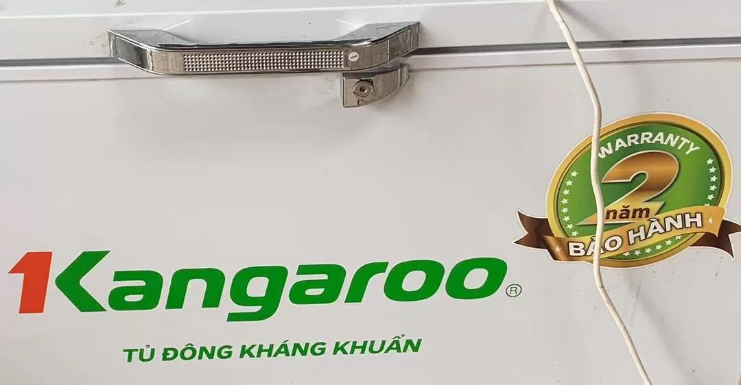 cách khắc phục ngăn mát tủ đông bị đóng đá