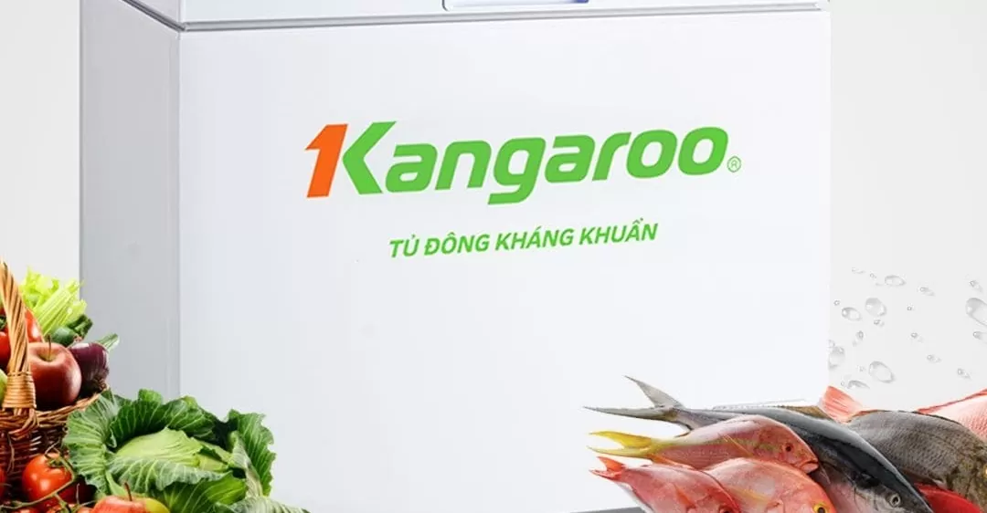 cách khắc phục tủ đông bị nóng