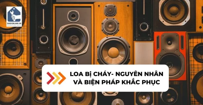 Loa bị cháy suadienlanh.vn