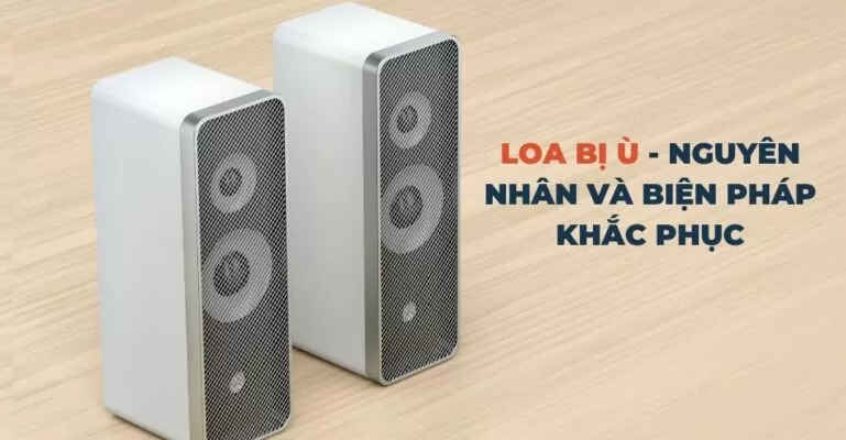 Loa bị ù Suadienlanh.vn