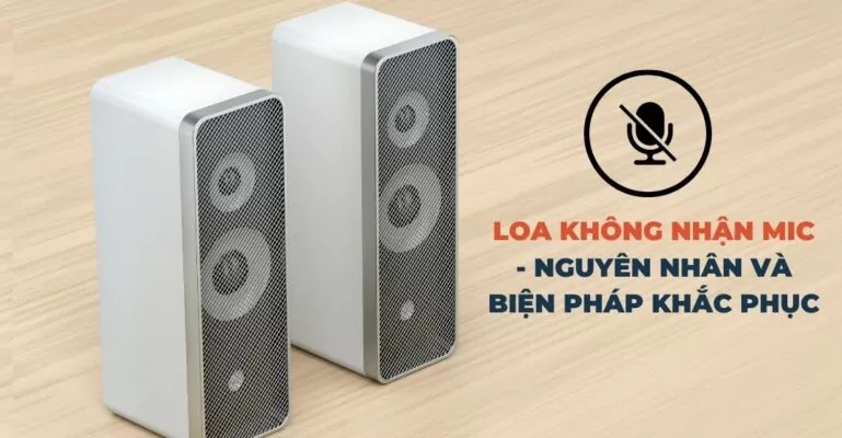Loa không nhận mic Suadienlanh.vn