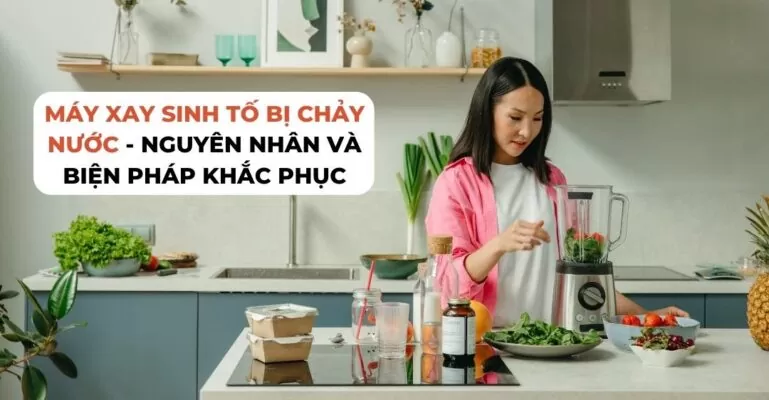 Máy xay sinh tố bị chảy nước