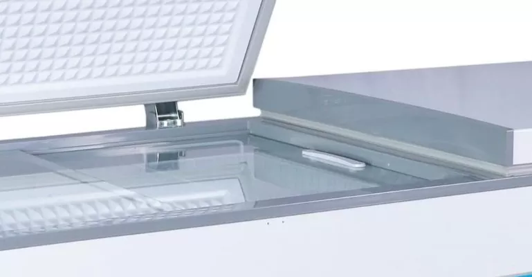 nguyên nhân tủ đông bị hôi