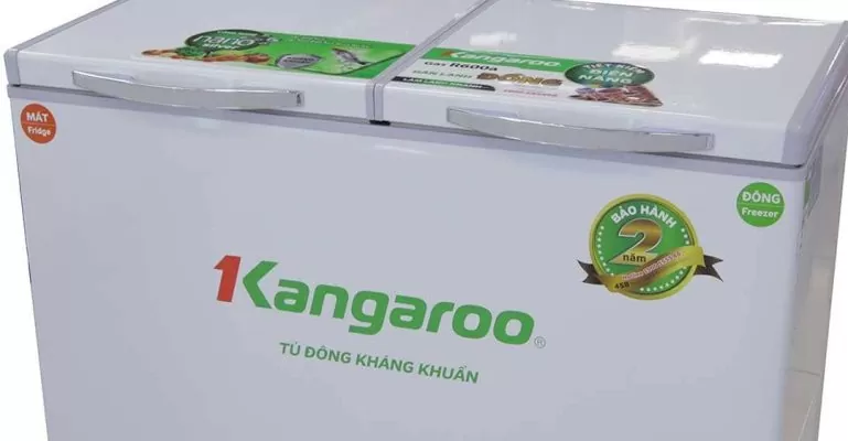 nguyên nhân tủ đông kangaroo bị đọng nước
