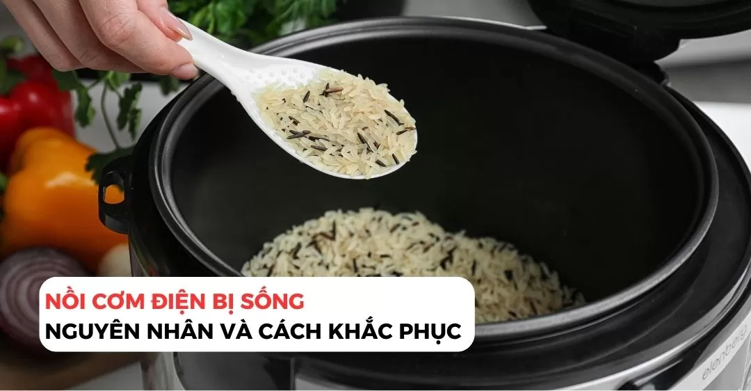 Nồi cơm điện bị sống 