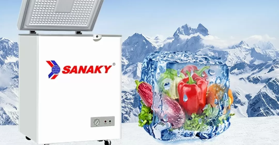 tủ đông bị hôi