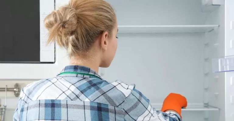 Các bước vệ sinh tủ lạnh bị mốc chi tiết