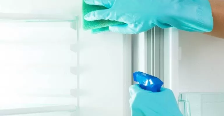 Khi nào nên tiến hành vệ sinh tủ lạnh