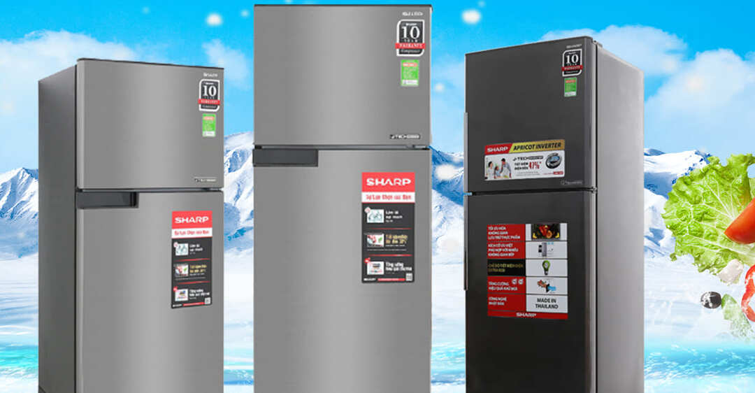 cách sử dụng tủ lạnh sharp mới mua