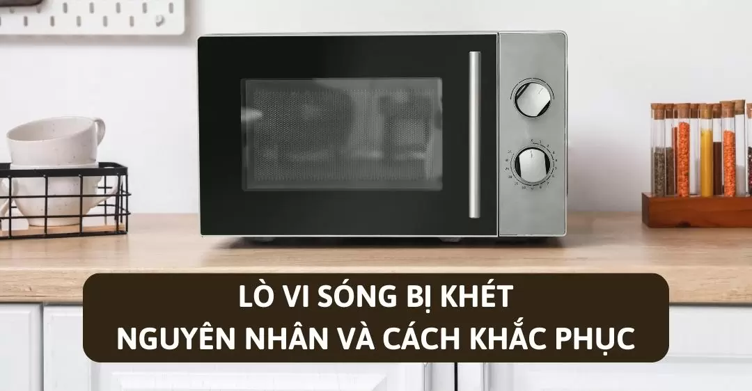 Lò vi sóng bị khét