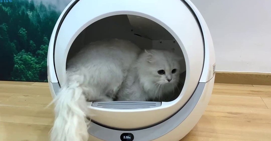 Các câu hỏi thường gặp về dịch vụ sửa máy dọn phân chó mèo tại Nhà Bè