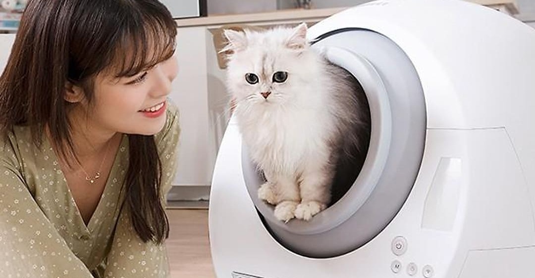 sửa chữa máy dọn phân chó mèo Tipro