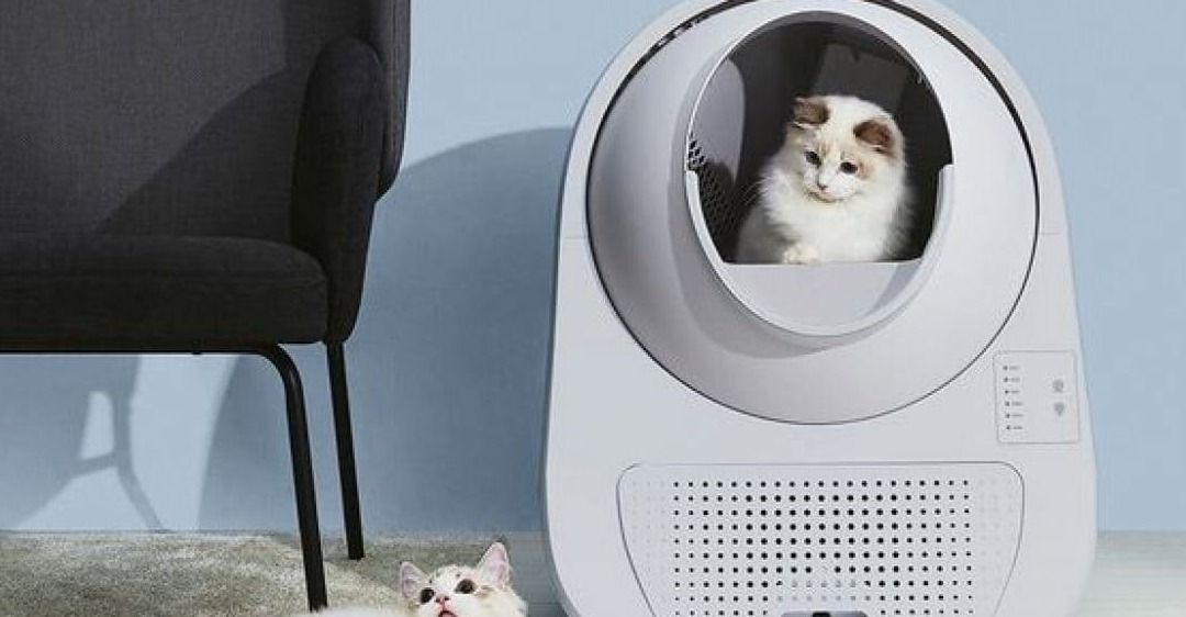 sửa máy dọn phân chó mèo Catlink