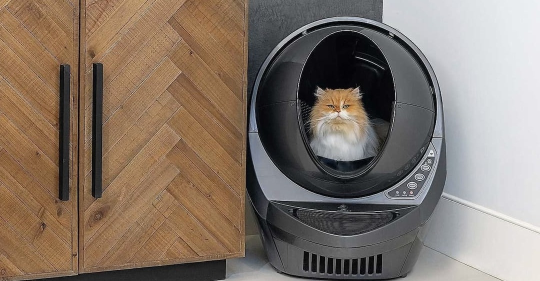 sửa máy dọn phân chó mèo Meet