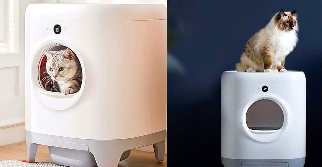 sửa máy dọn phân chó mèo Petkit