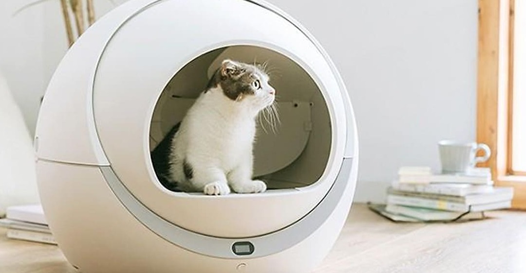 sửa máy dọn phân chó mèo tại Nhà Bè