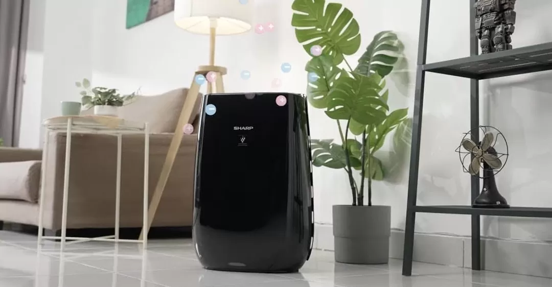 Hướng dẫn vệ sinh máy lọc không khí Sharp