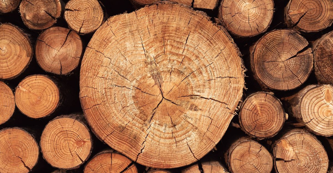 gỗ có dẫn điện không