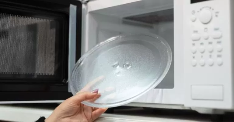 Các loại đĩa lò vi sóng