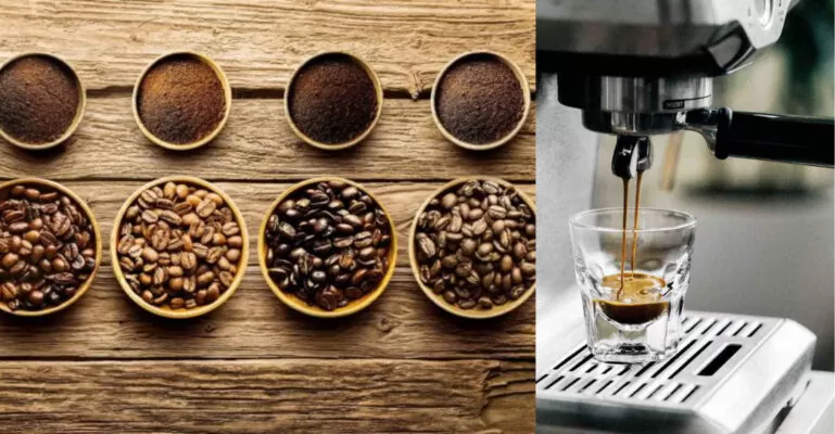 các loại hạt cà phê pha máy