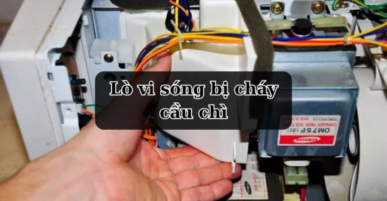 lò vi sóng bị cháy cầu chì