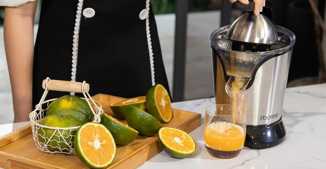 sửa chữa máy vắt cam ibonne