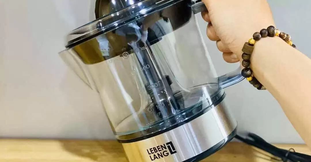 sửa chữa máy vắt cam lebenlang