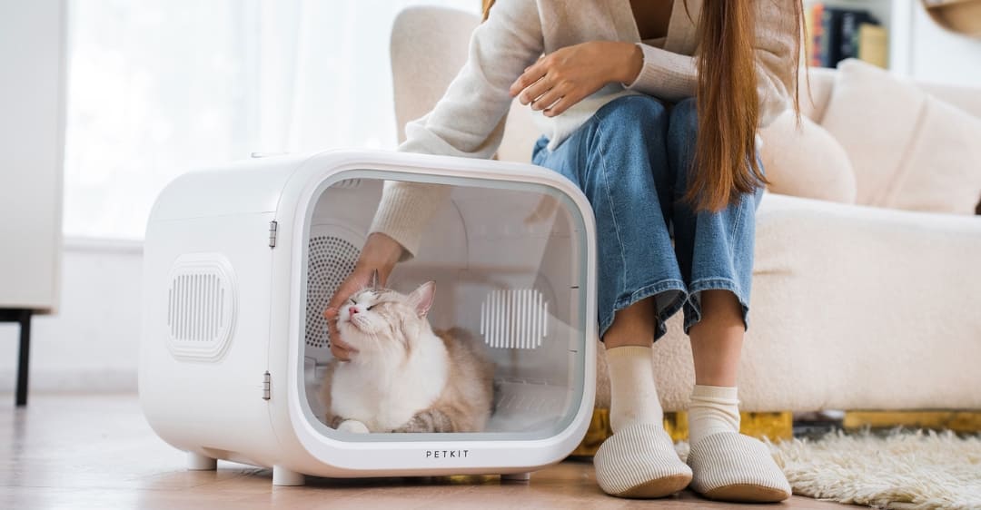 sửa máy sấy lông chó mèo Xiaomi