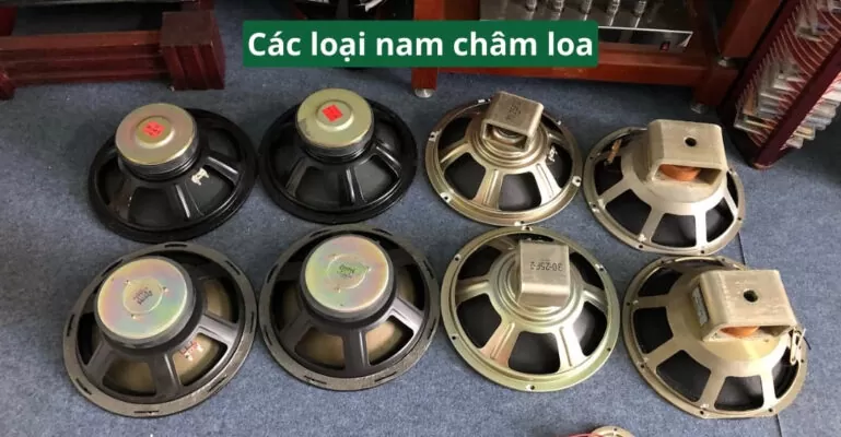 Các loại nam châm loa