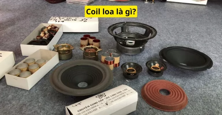 Coil loa là gì