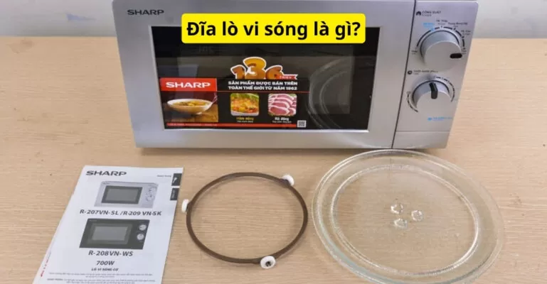 Đĩa lò vi sóng là gì