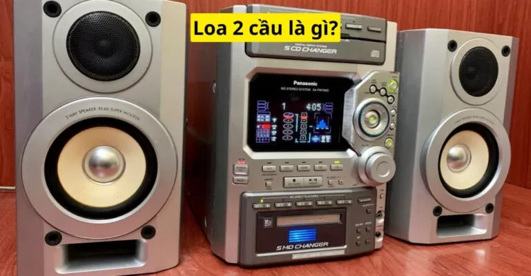 Loa 2 cầu là gì