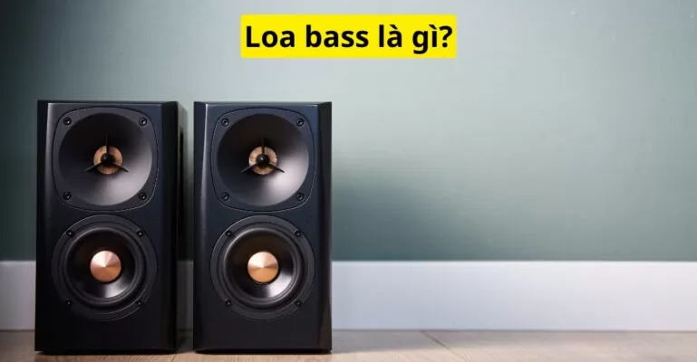 Loa bass là gì