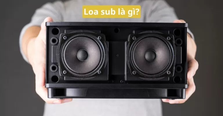 Loa sub là gì