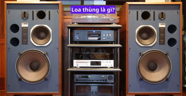Loa thùng là gì
