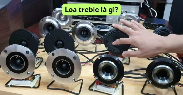 Loa treble là gì