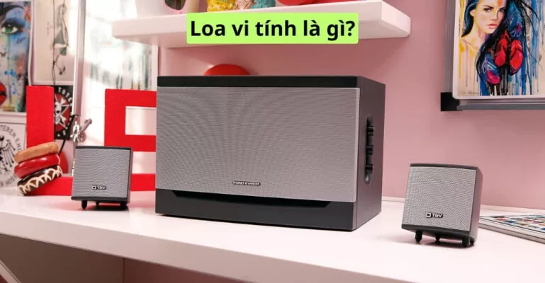 Loa vi tính là gì