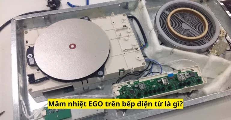 Mâm nhiệt EGO trên bếp điện từ là gì